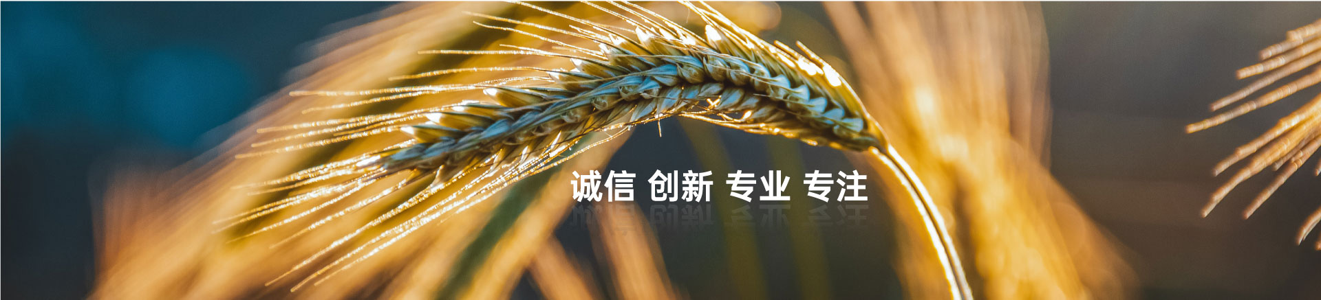 顧客至上，信譽(yù)第一